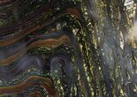 Banded Tiger Iron Stromatolite - Australia ( Billion Years) #22495-1